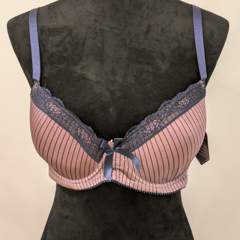 Chic Lace Trimmed Striped Bra - Mauve and Nav Size 44 C